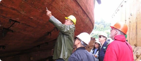 Marine report overview